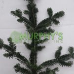 murphysgreenery.com.112.05132016